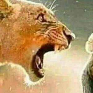 Meet your Posher, Mandy